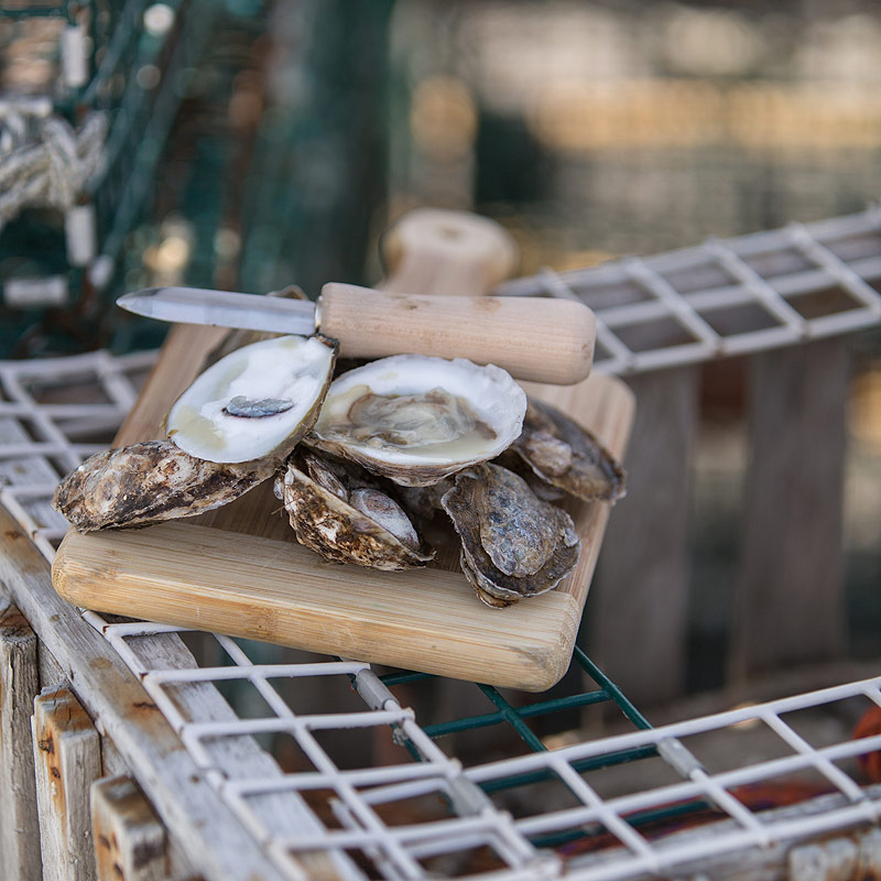 open-oyster-16