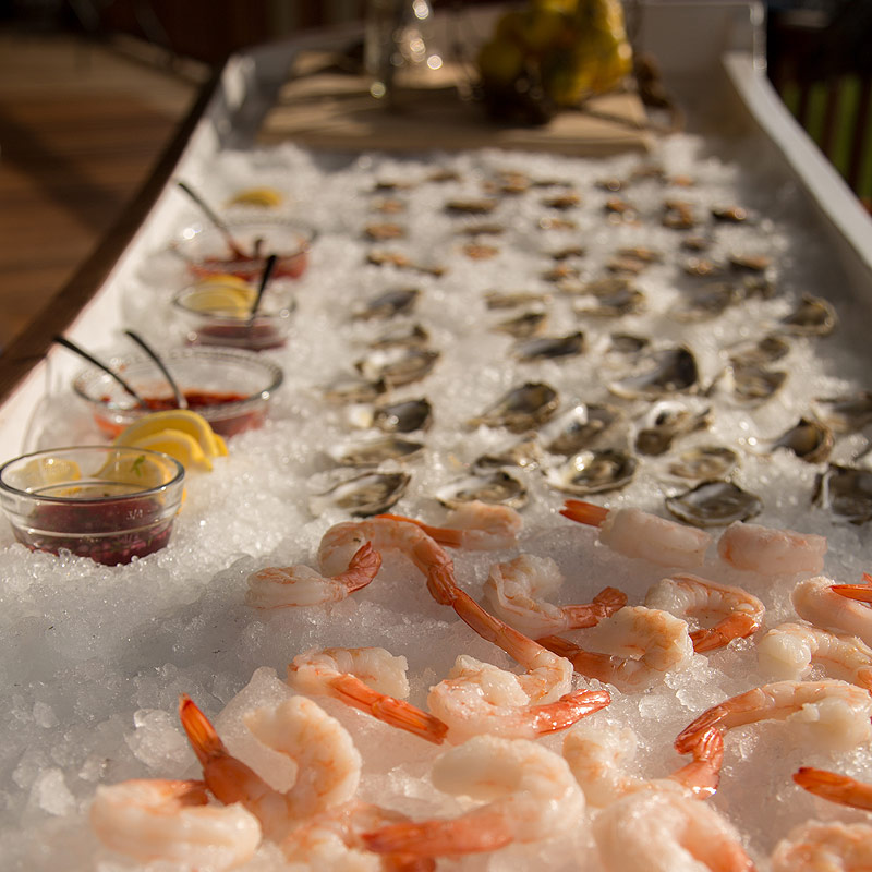 open-oyster-22-1